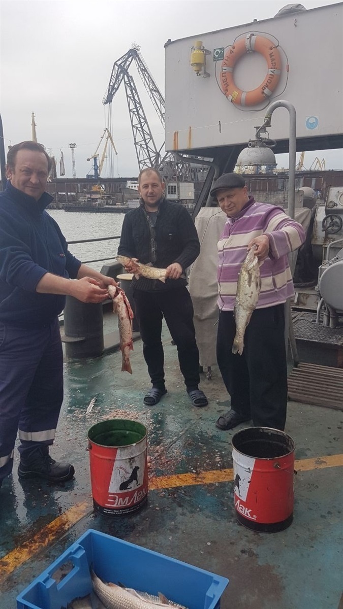 Fish for lunch. 